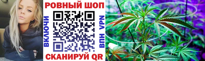 Магазины продажи наркотиков Злынка Каннабис АМФ Гашиш