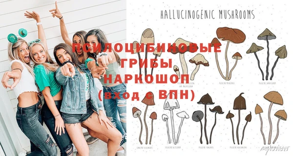 jwh Вяземский