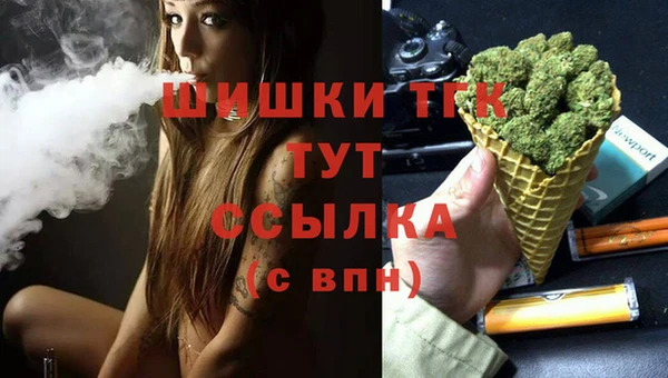 СК Волосово