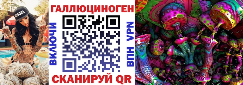 нарко площадка официальный сайт Злынка Галлюциногенные грибы GOLDEN TEACHER
